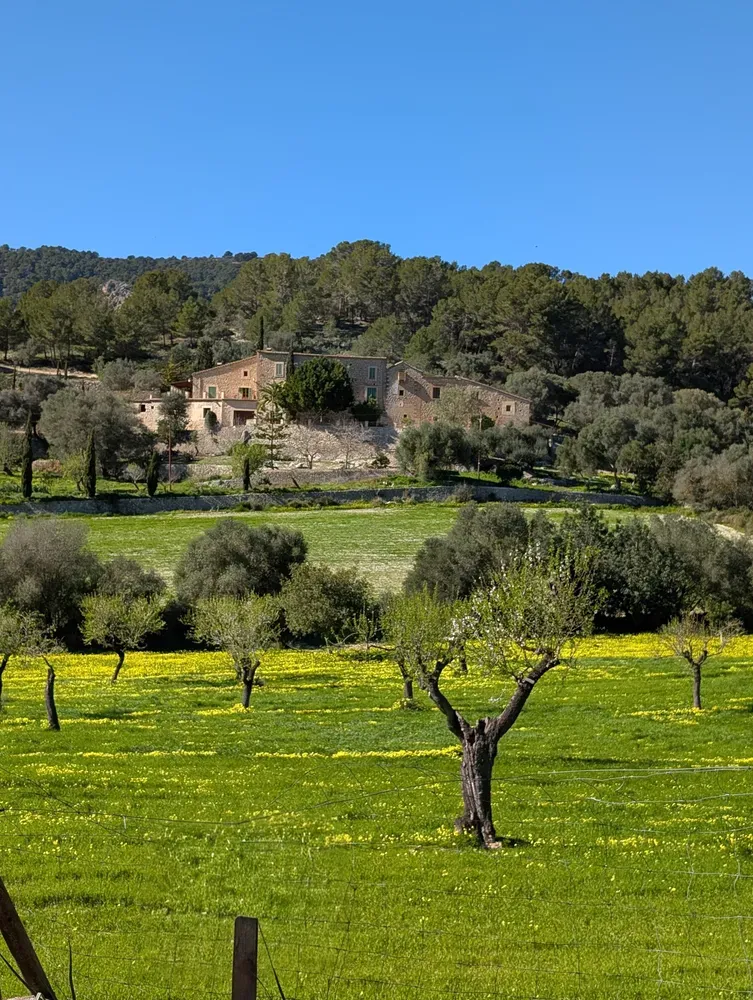 Calvià countryside roads on return leg of Paguera Galilea mountain ascent loop